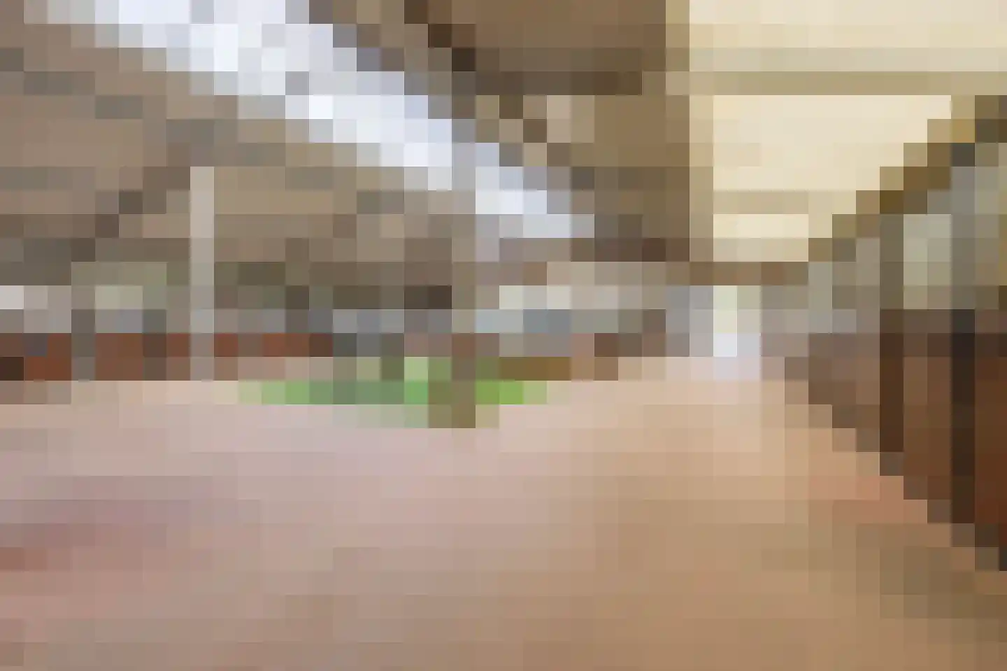 Waatselaarstraat 3 Berghem thumbnail 34