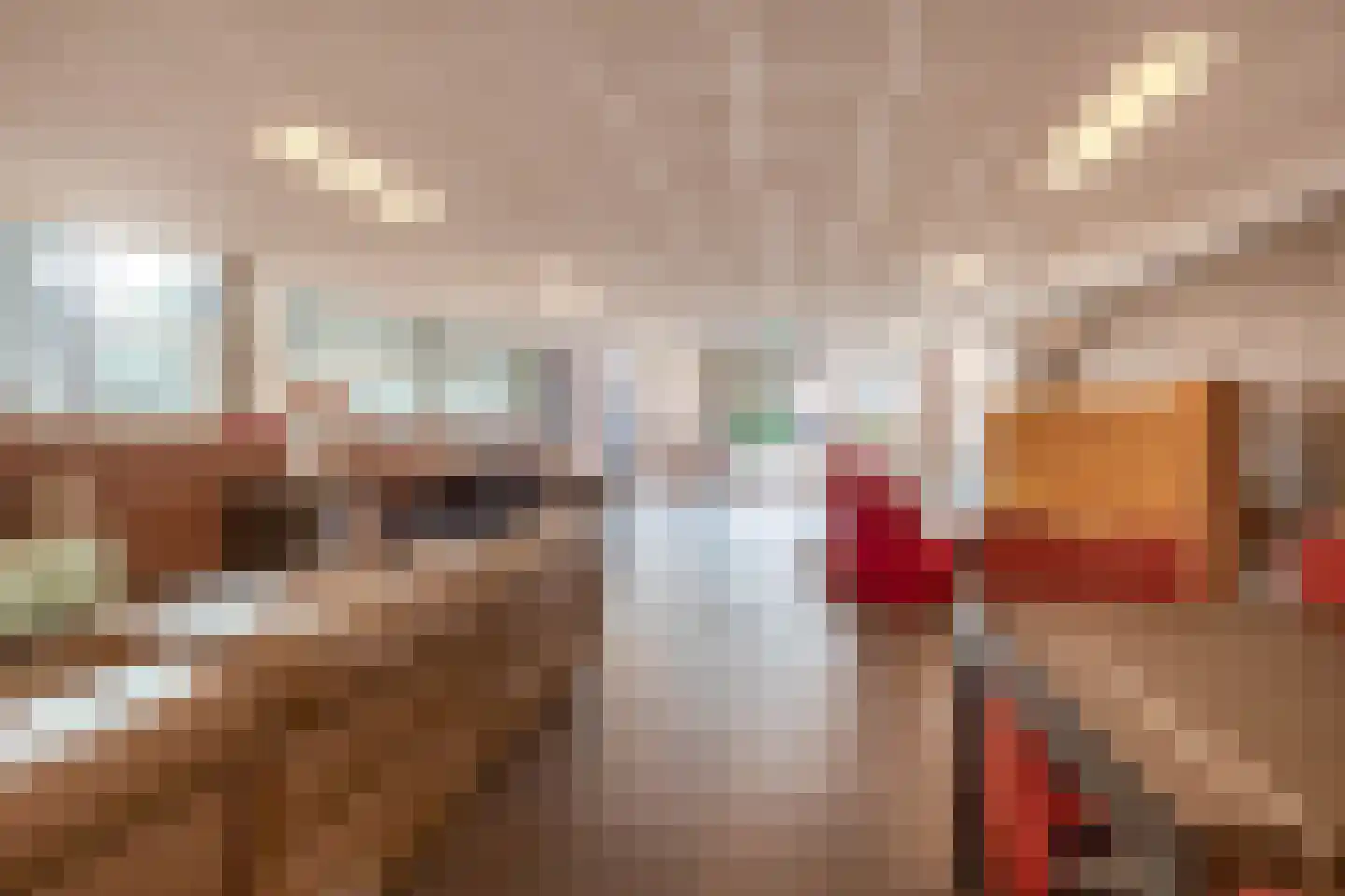 Waatselaarstraat 3 Berghem thumbnail 39