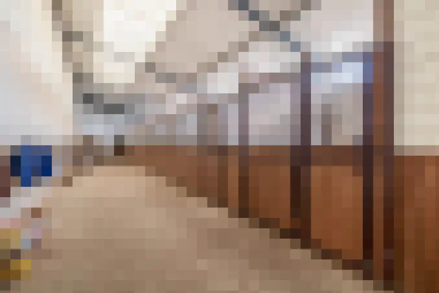 Waatselaarstraat 3 Berghem thumbnail 43