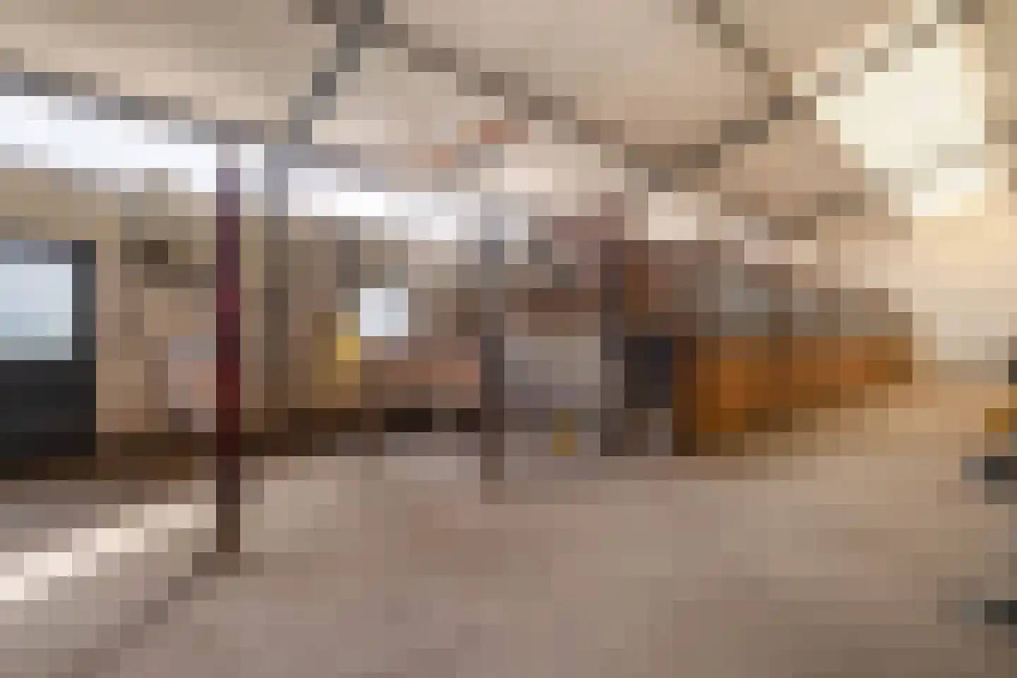 Waatselaarstraat 3 Berghem thumbnail 44