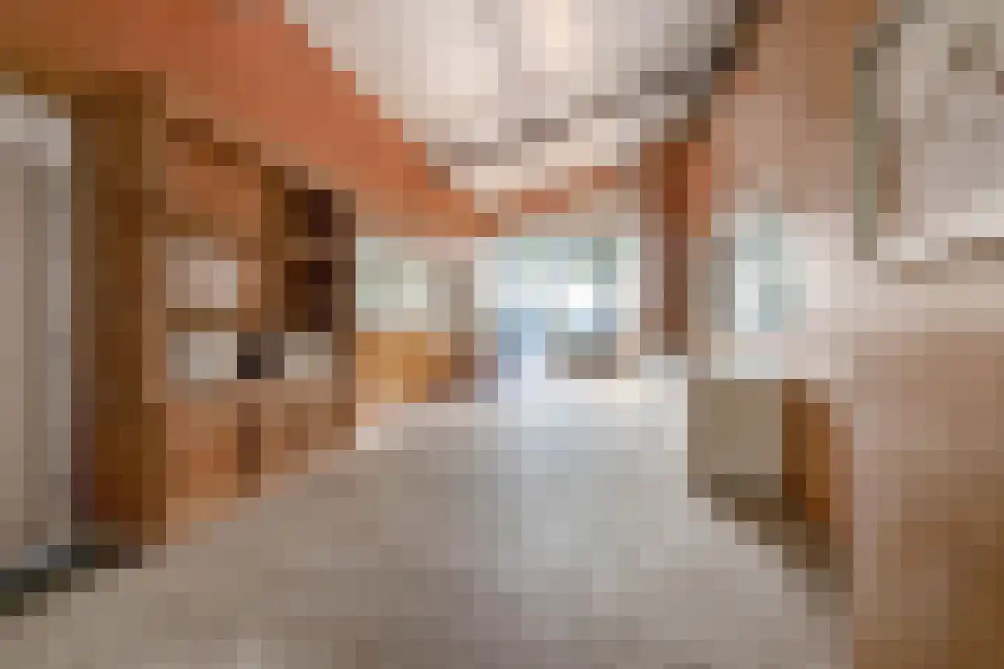 Waatselaarstraat 3 Berghem thumbnail 46