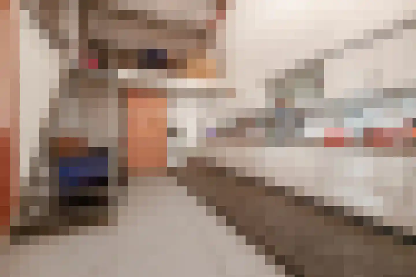 Waatselaarstraat 3 Berghem thumbnail 47
