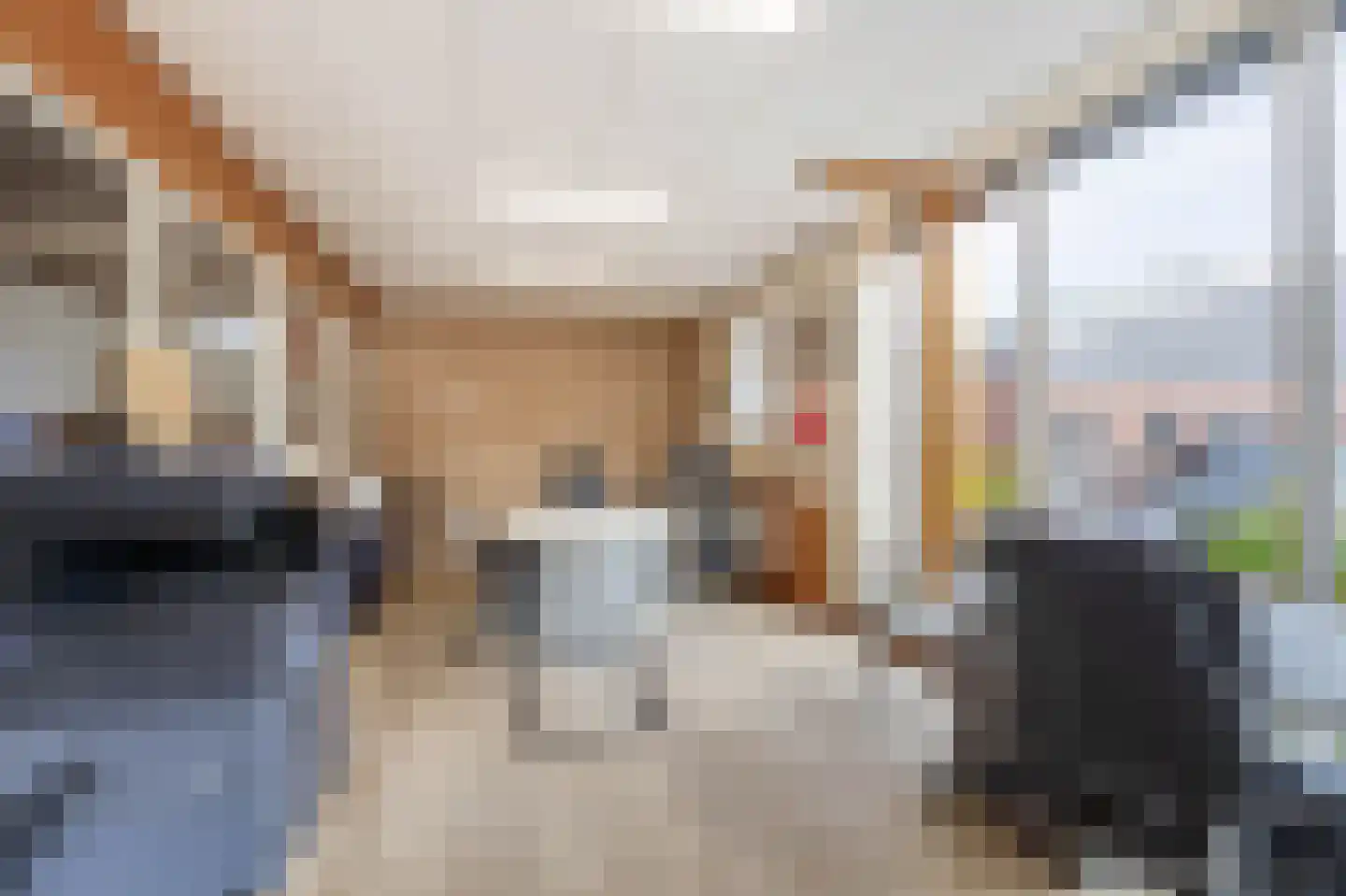 Waatselaarstraat 3 Berghem thumbnail 51