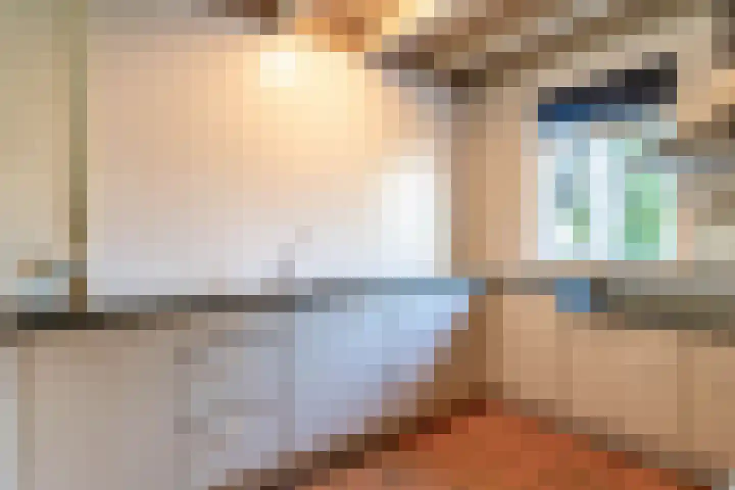 Waatselaarstraat 3 Berghem thumbnail 53