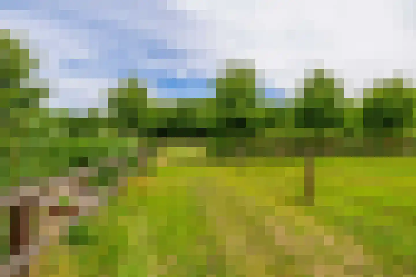 Waatselaarstraat 3 Berghem thumbnail 65