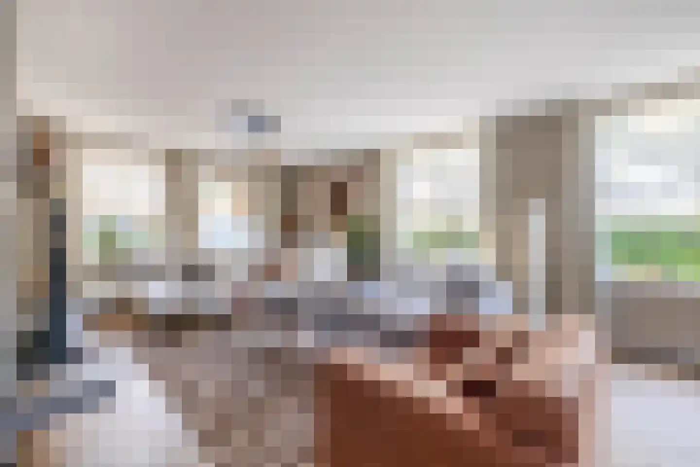 Waatselaarstraat 3 Berghem thumbnail 7