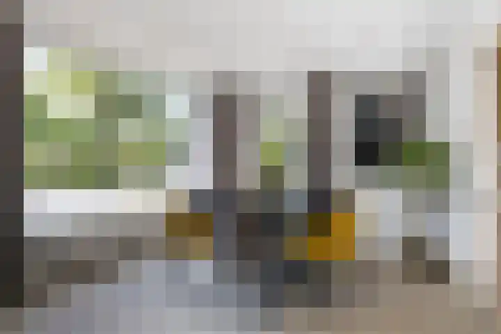Waatselaarstraat 6 Berghem thumbnail 12