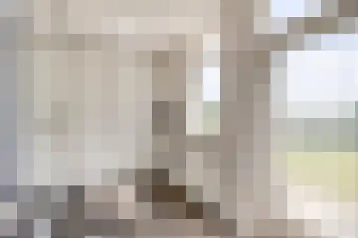 Waatselaarstraat 6 Berghem thumbnail 19