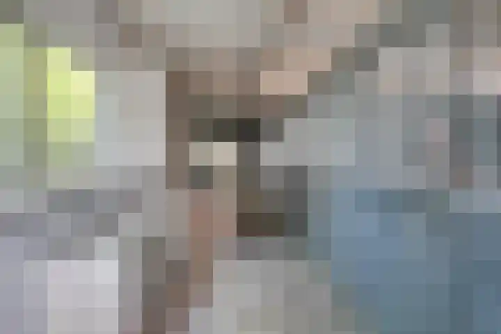 Waatselaarstraat 6 Berghem thumbnail 23