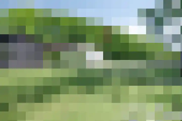 Waatselaarstraat 6 Berghem thumbnail 26