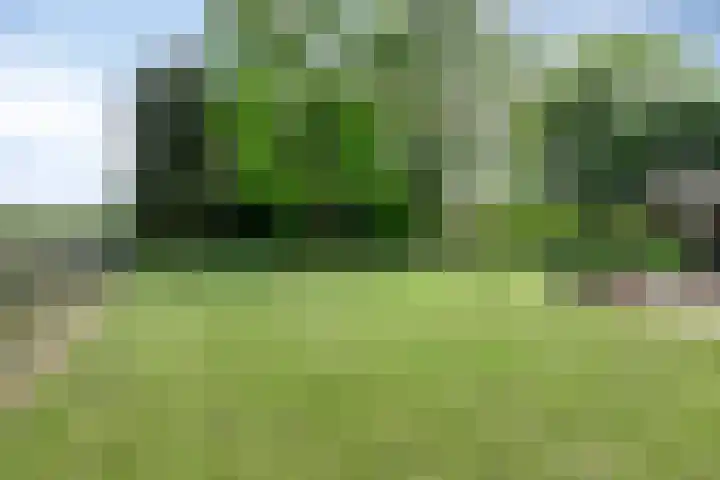 Waatselaarstraat 6 Berghem thumbnail 27