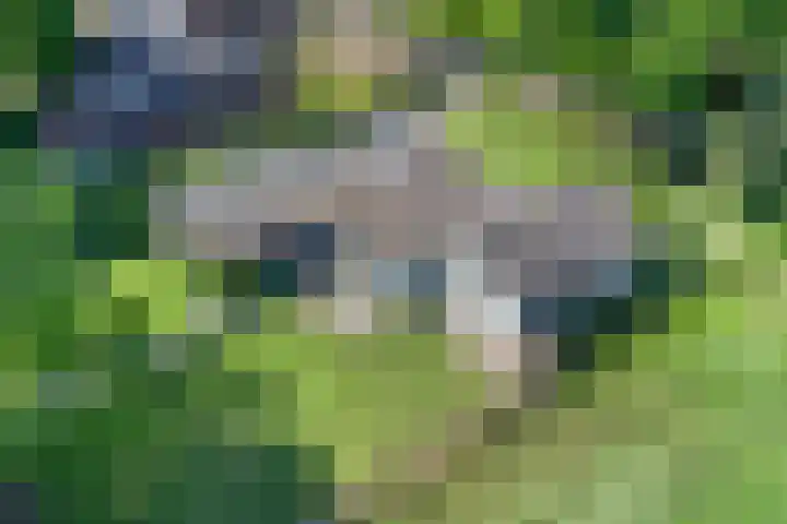 Waatselaarstraat 6 Berghem thumbnail 32