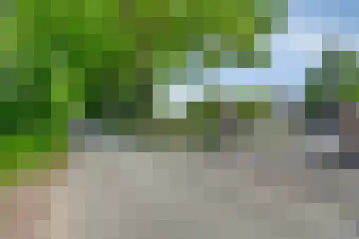 Waatselaarstraat 6 Berghem thumbnail 33