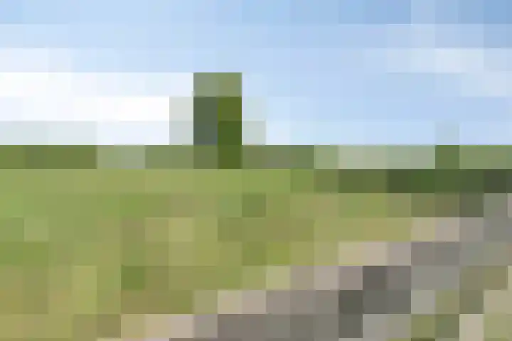 Waatselaarstraat 6 Berghem thumbnail 34