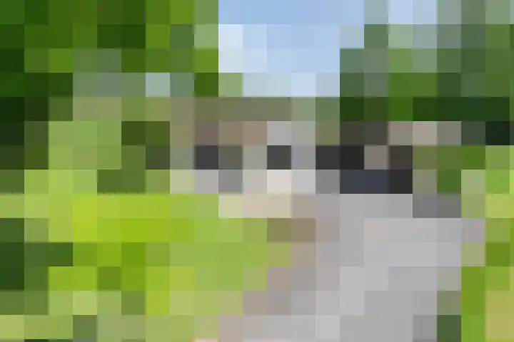 Waatselaarstraat 6 Berghem thumbnail 37