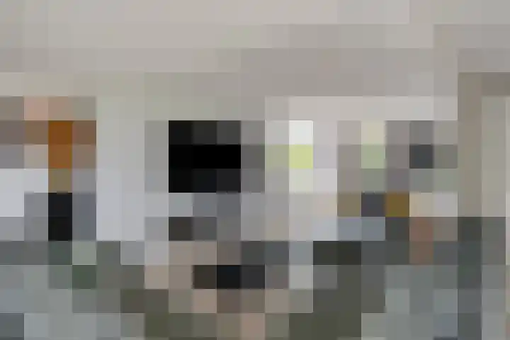 Waatselaarstraat 6 Berghem thumbnail 5