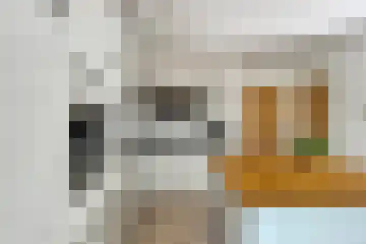 Waatselaarstraat 6 Berghem thumbnail 9