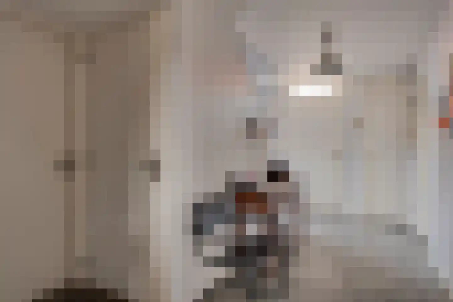 Waatskamp 4 Ospel thumbnail 25
