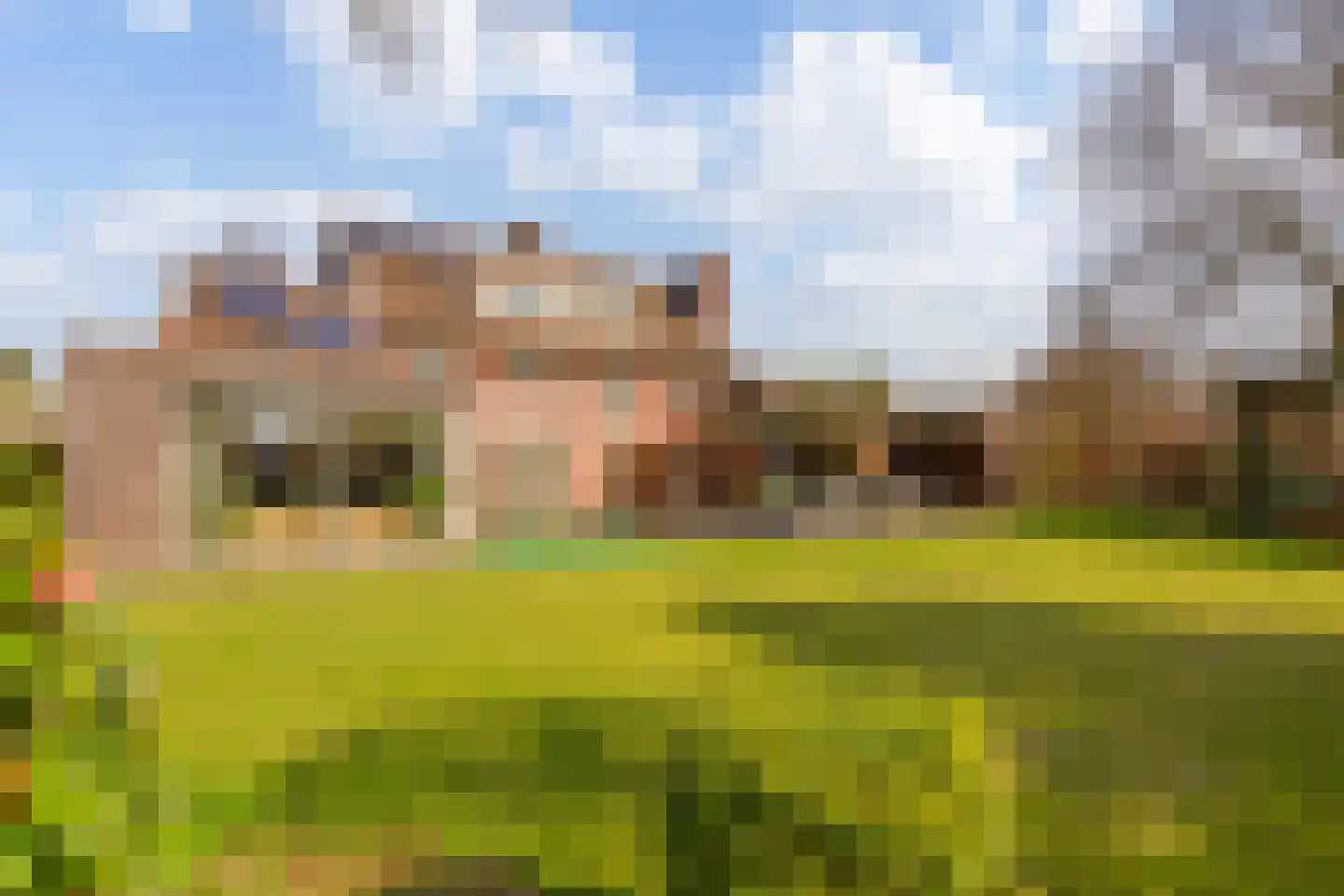 Waatskamp 4 Ospel foto 3