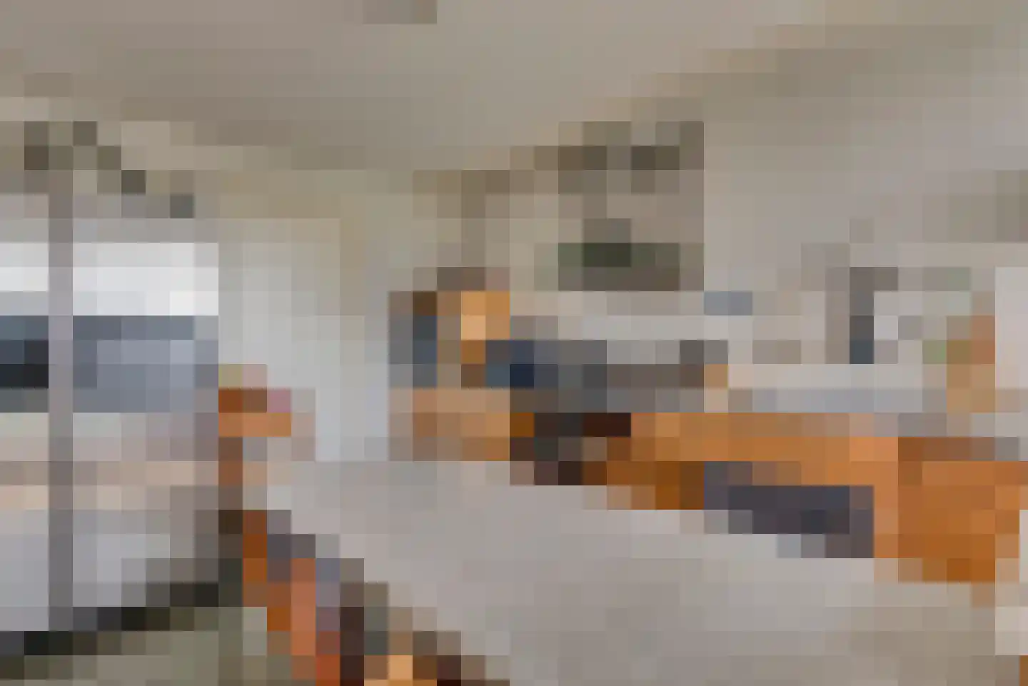 Waatskamp 4 Ospel thumbnail 34