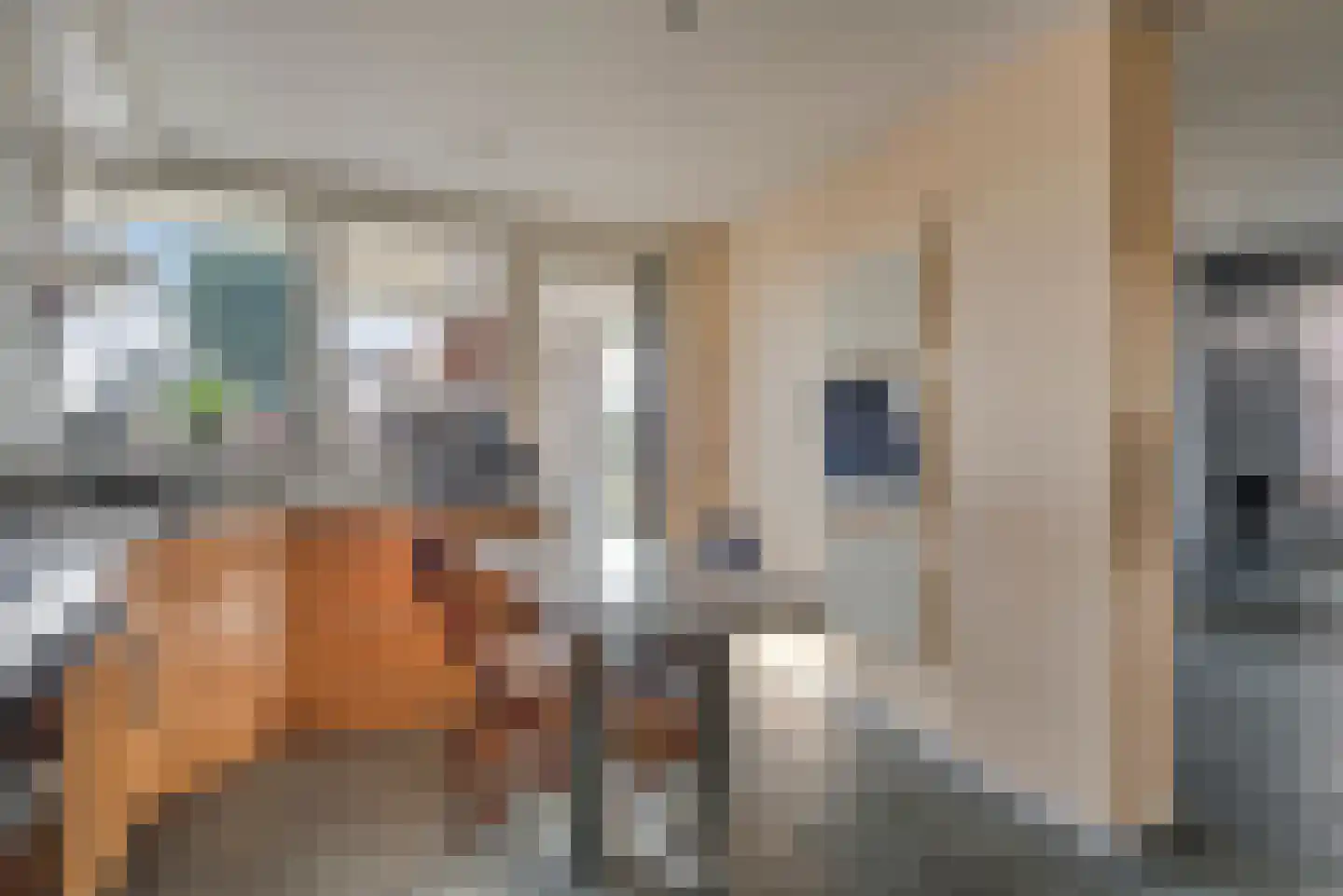 Waatskamp 4 Ospel thumbnail 35