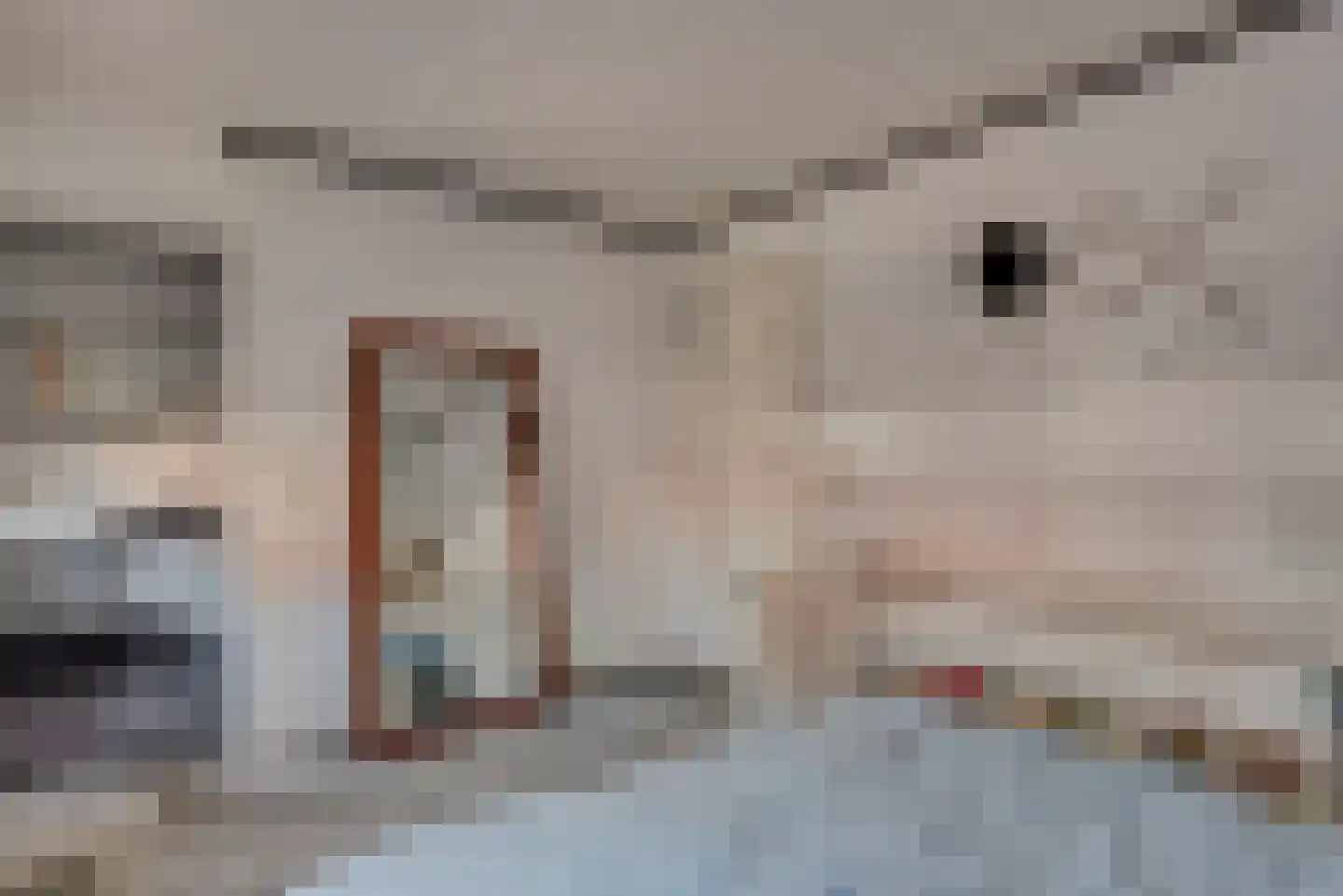 Waatskamp 4 Ospel thumbnail 50