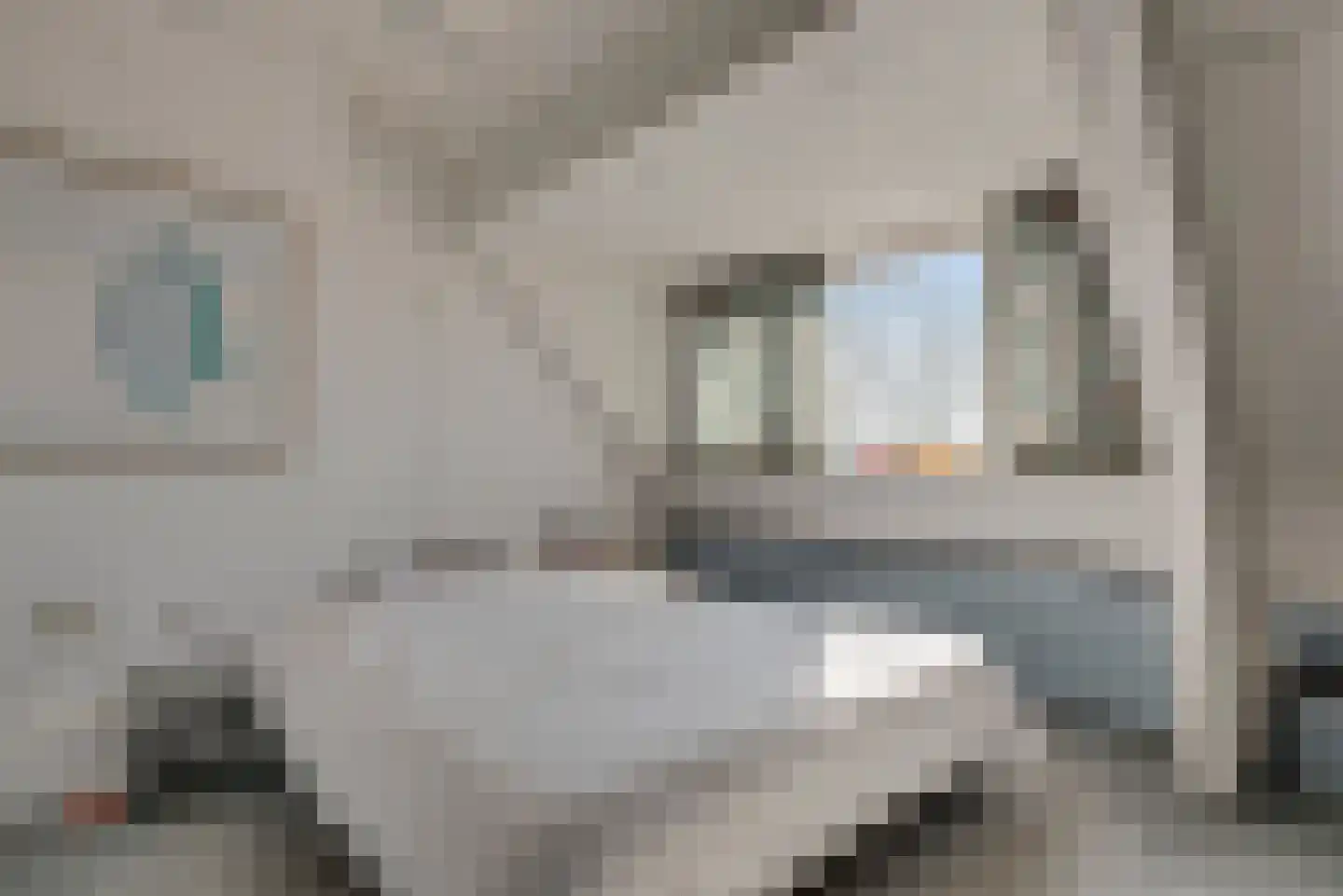 Waatskamp 4 Ospel thumbnail 53