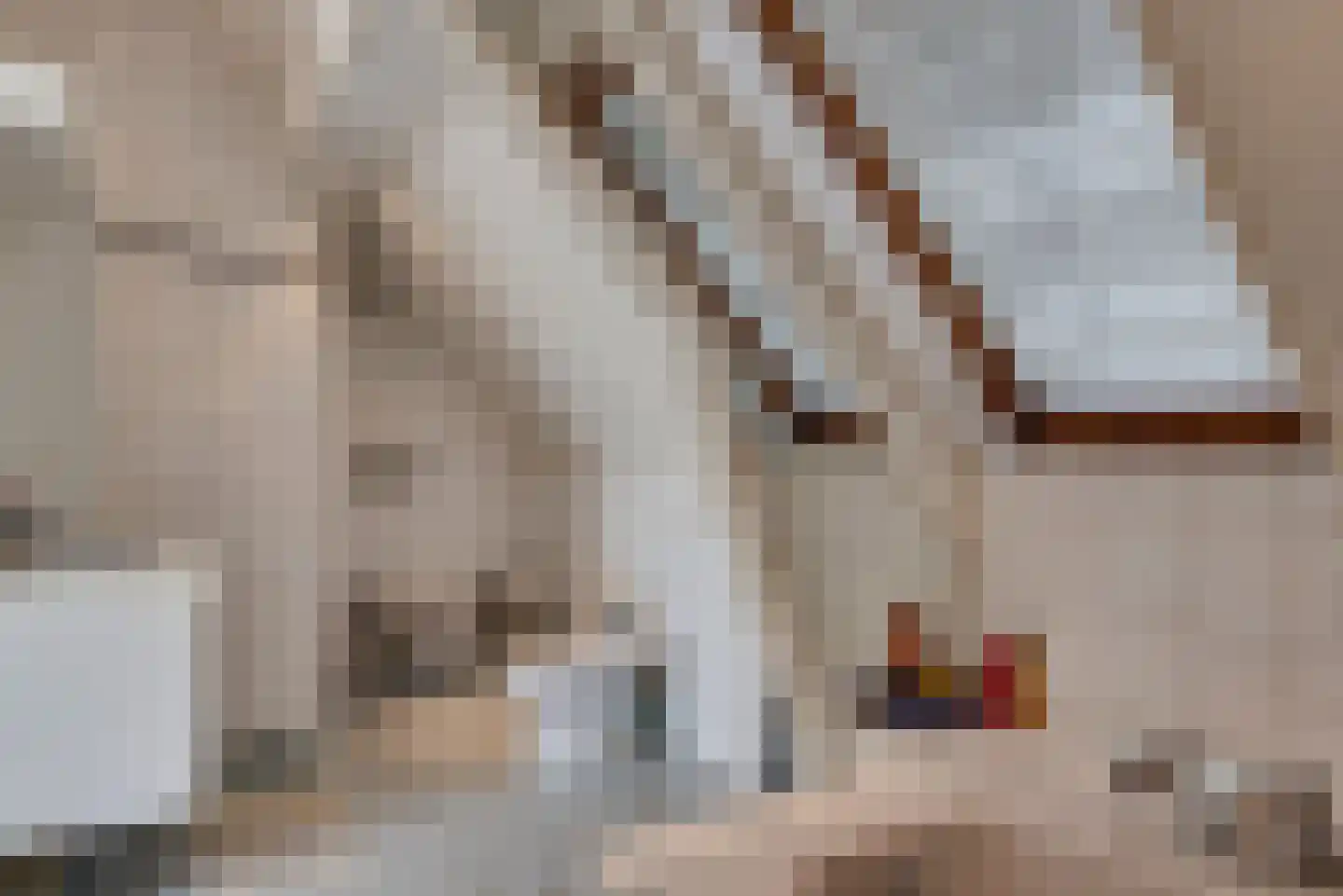 Waatskamp 4 Ospel thumbnail 56