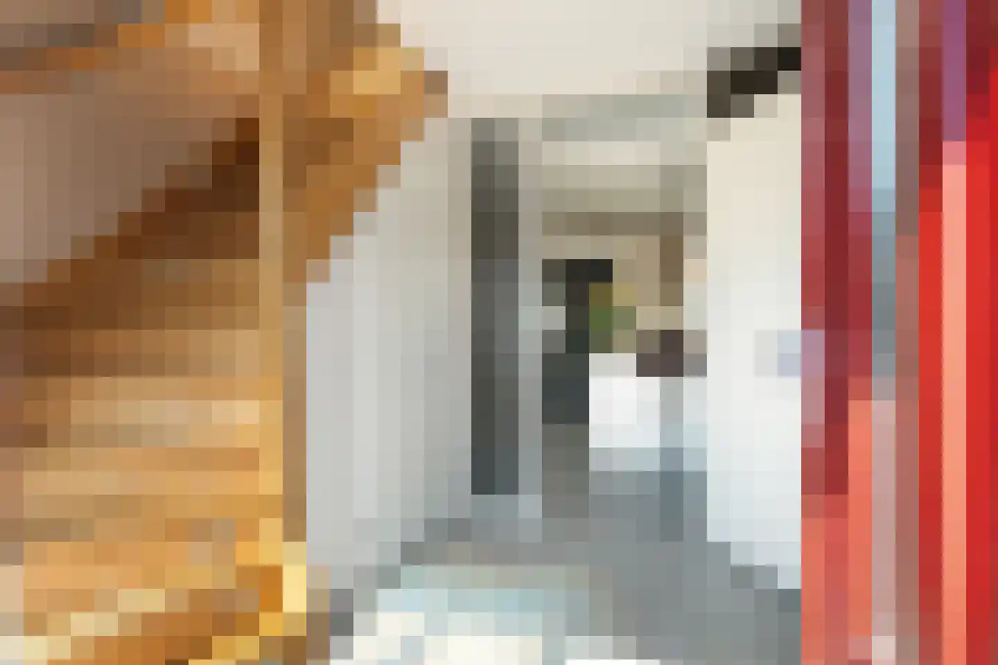 Waaxenserweg 11 Lollum thumbnail 13