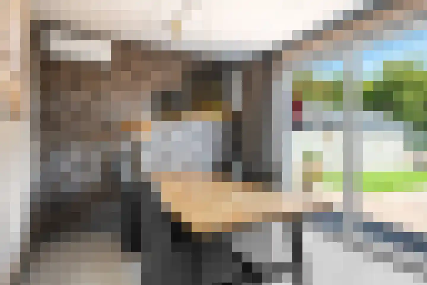 Waaxenserweg 11 Lollum thumbnail 21
