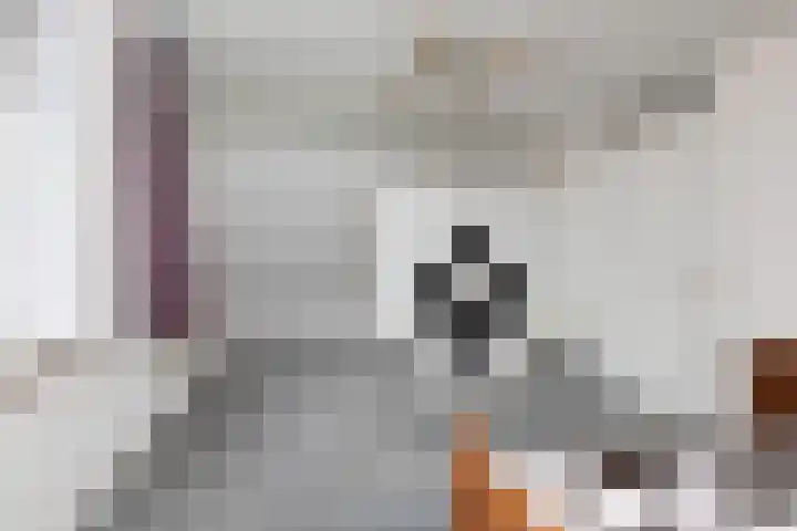 Waaxenserweg 11 Lollum thumbnail 21