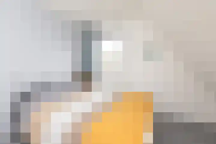 Waaxenserweg 11 Lollum thumbnail 22