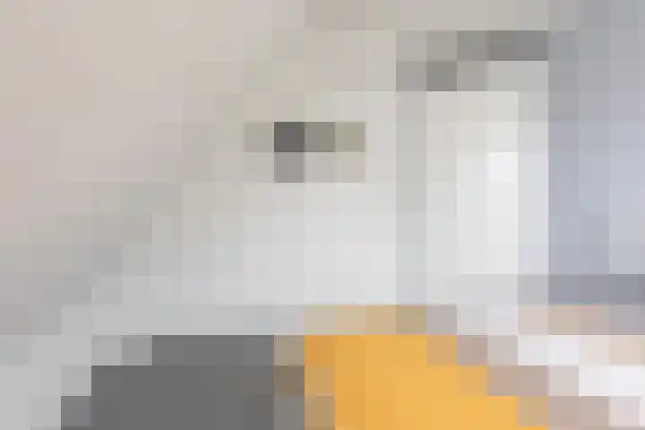 Waaxenserweg 11 Lollum thumbnail 23