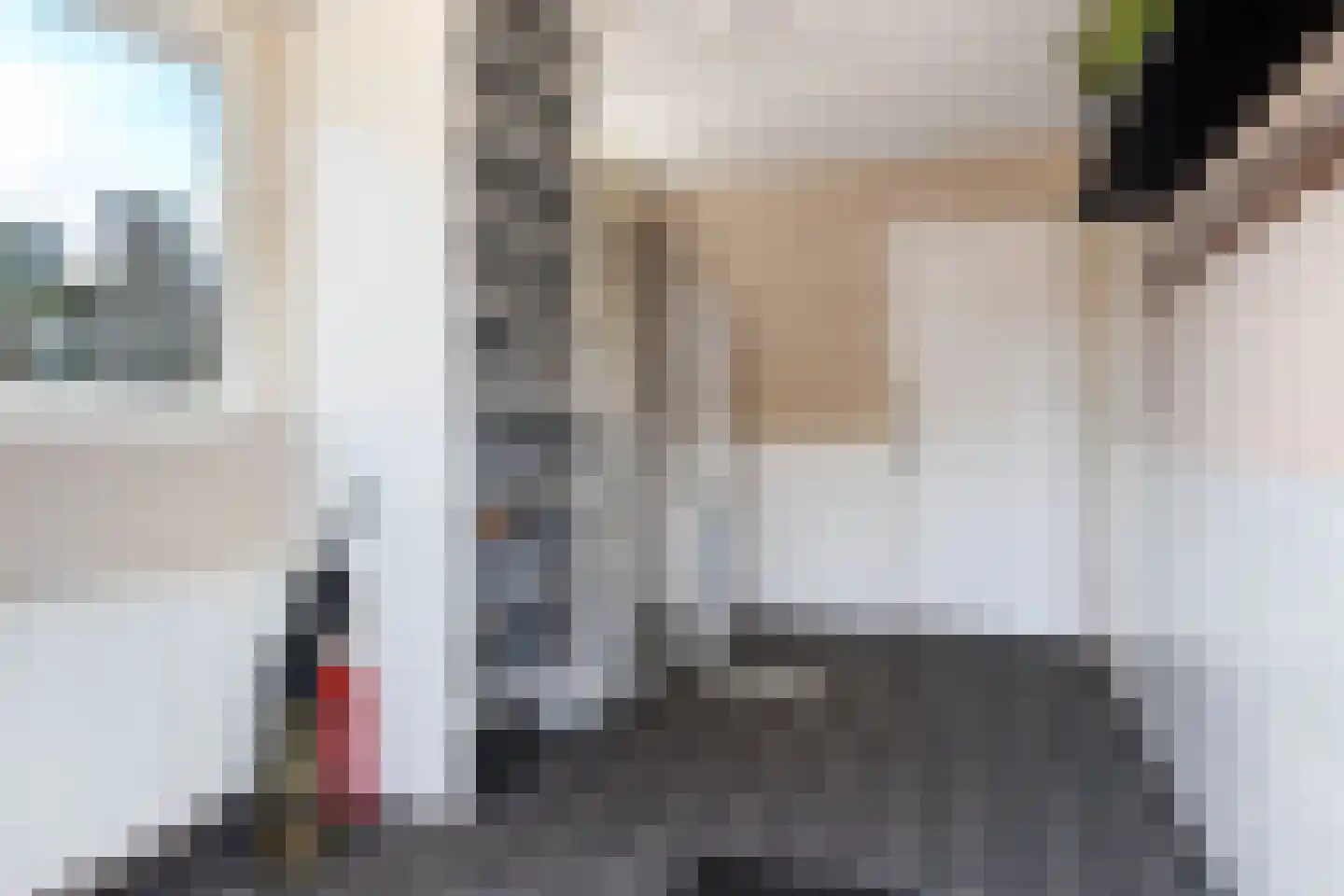 Waaxenserweg 11 Lollum thumbnail 24