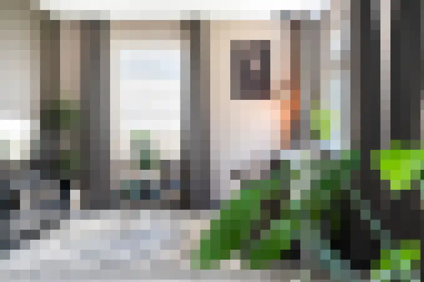 Waaxenserweg 11 Lollum thumbnail 26