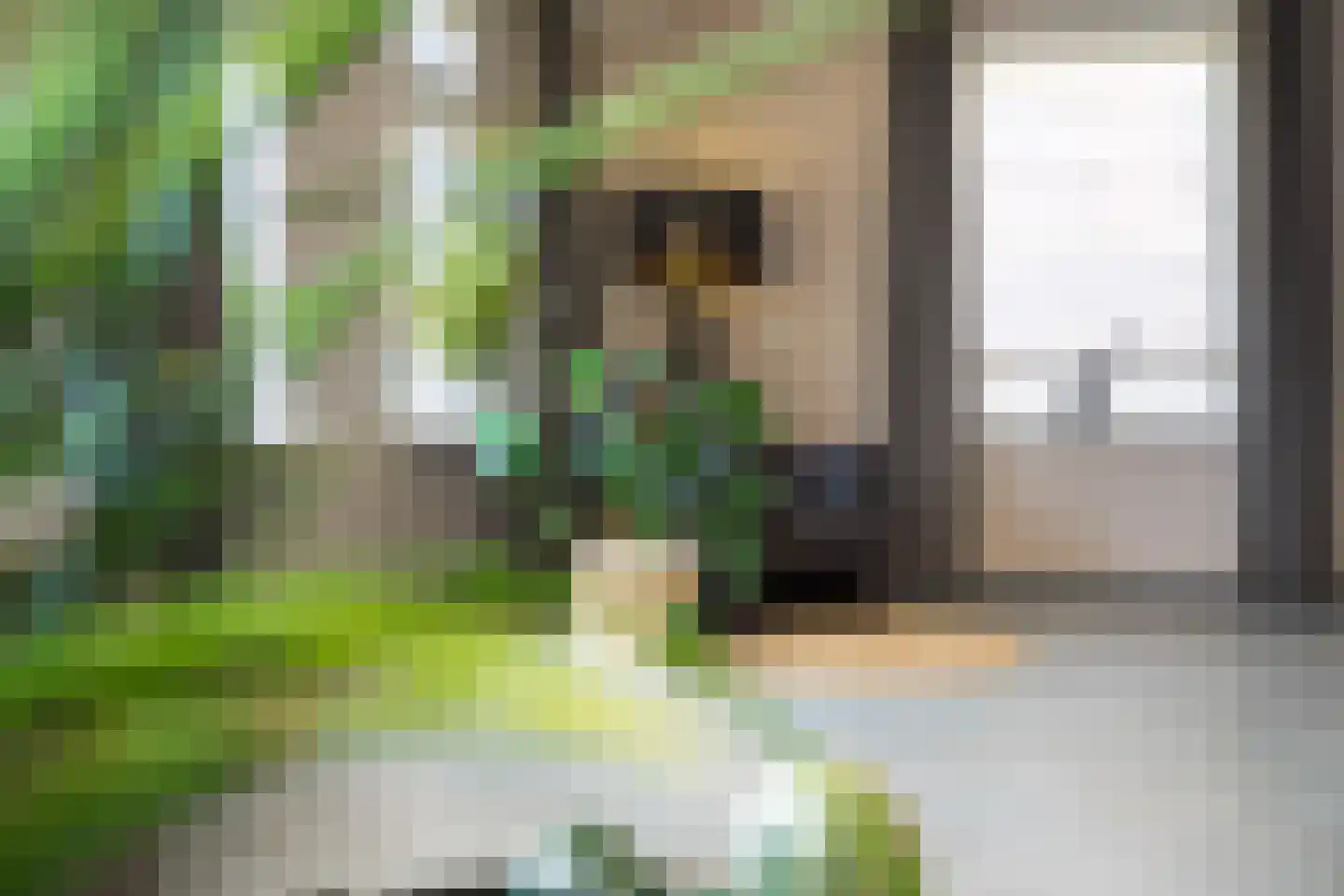 Waaxenserweg 11 Lollum thumbnail 29