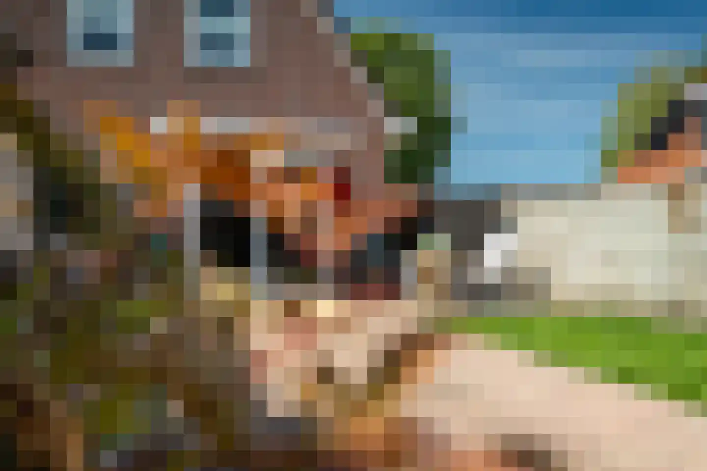 Waaxenserweg 11 Lollum thumbnail 36
