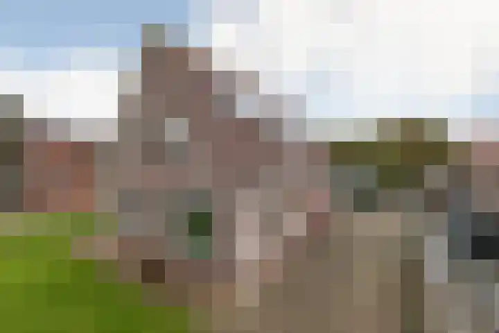 Waaxenserweg 11 Lollum thumbnail 41