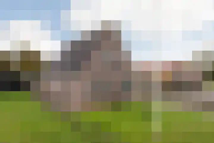 Waaxenserweg 11 Lollum thumbnail 43