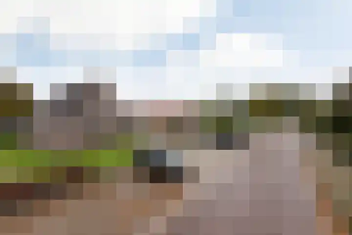 Waaxenserweg 11 Lollum thumbnail 44