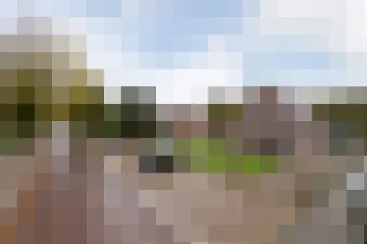 Waaxenserweg 11 Lollum thumbnail 45