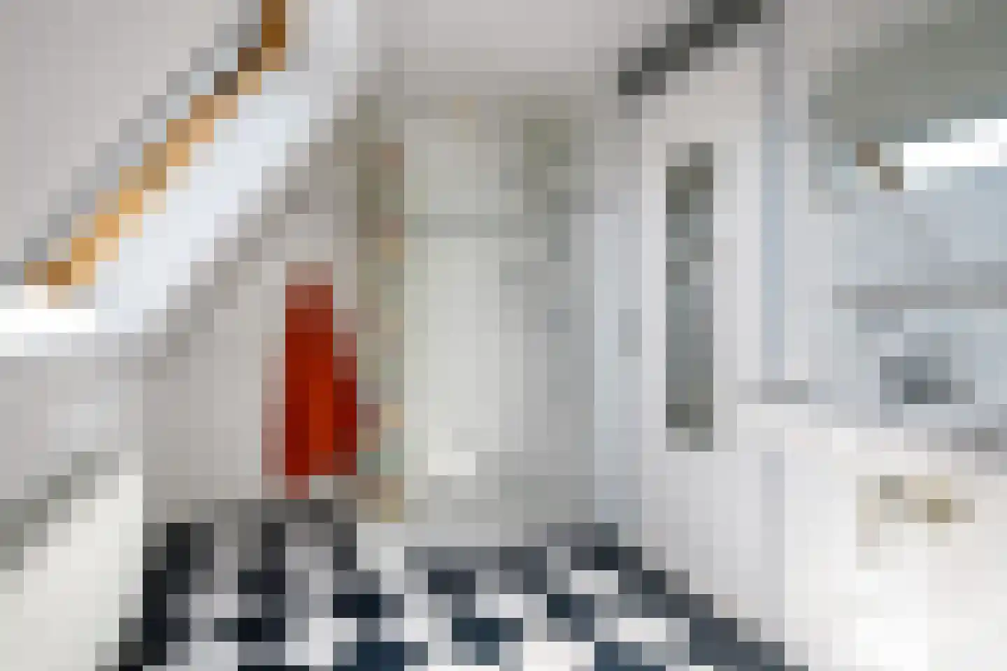 Waaxenserweg 11 Lollum thumbnail 54