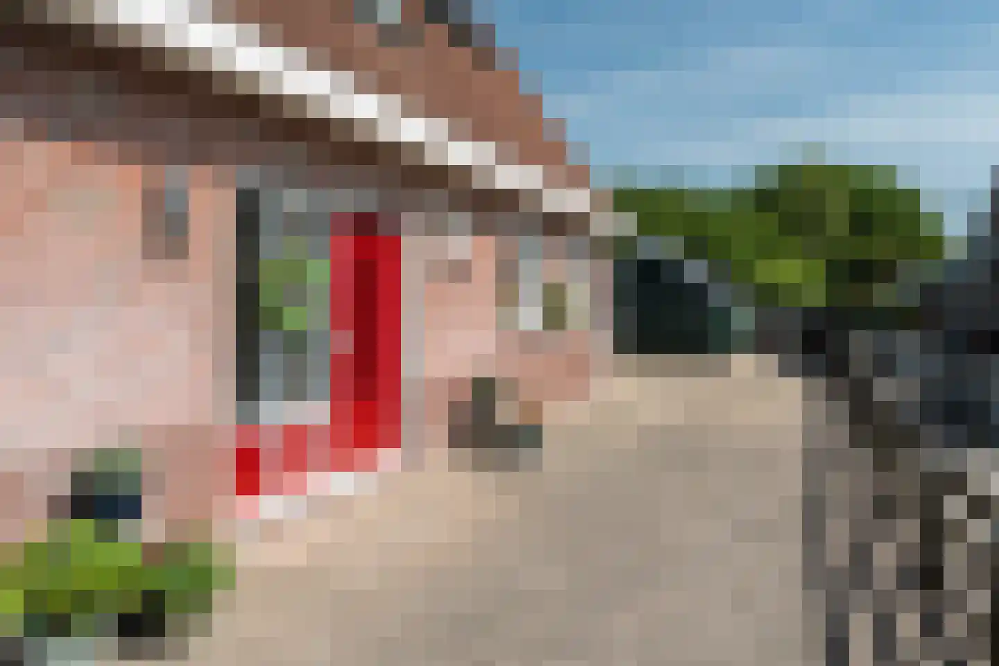 Waaxenserweg 11 Lollum thumbnail 6