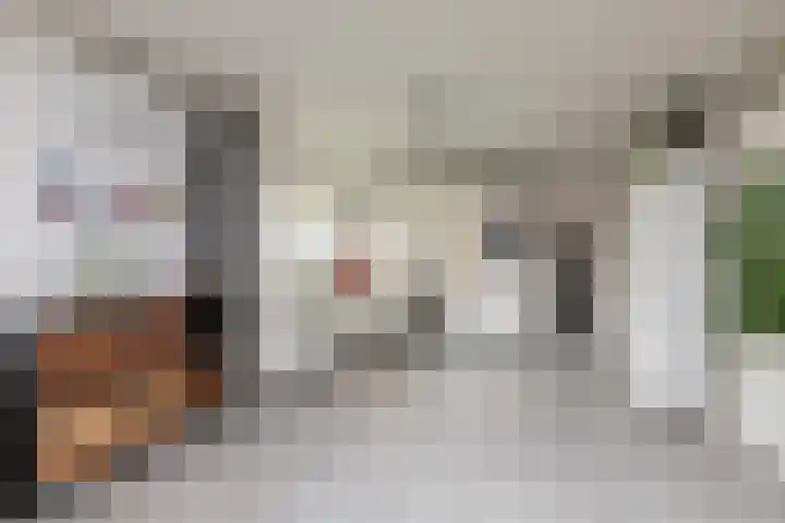 Waaxenserweg 11 Lollum thumbnail 9