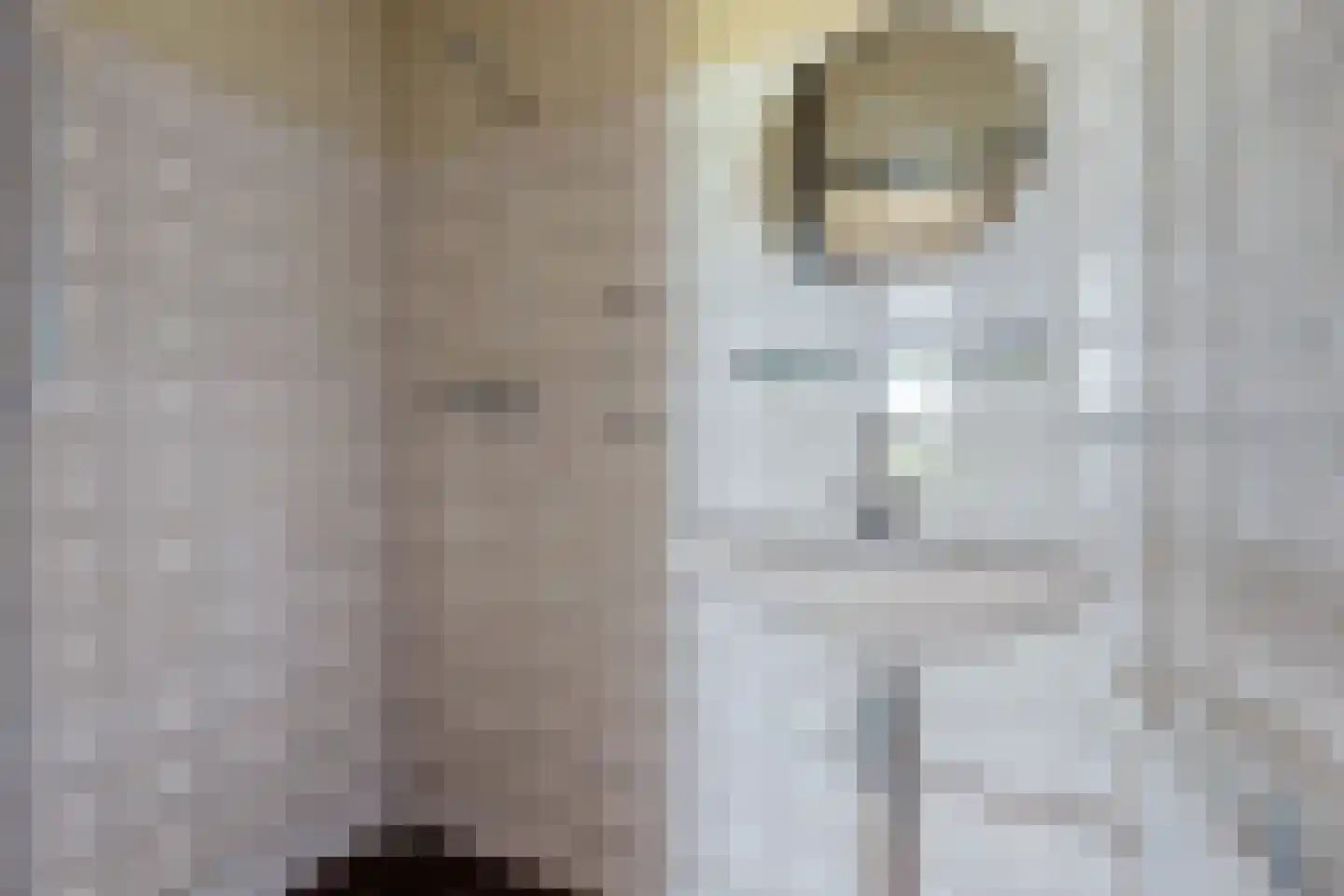 Waaxenserweg 24 Lollum thumbnail 21