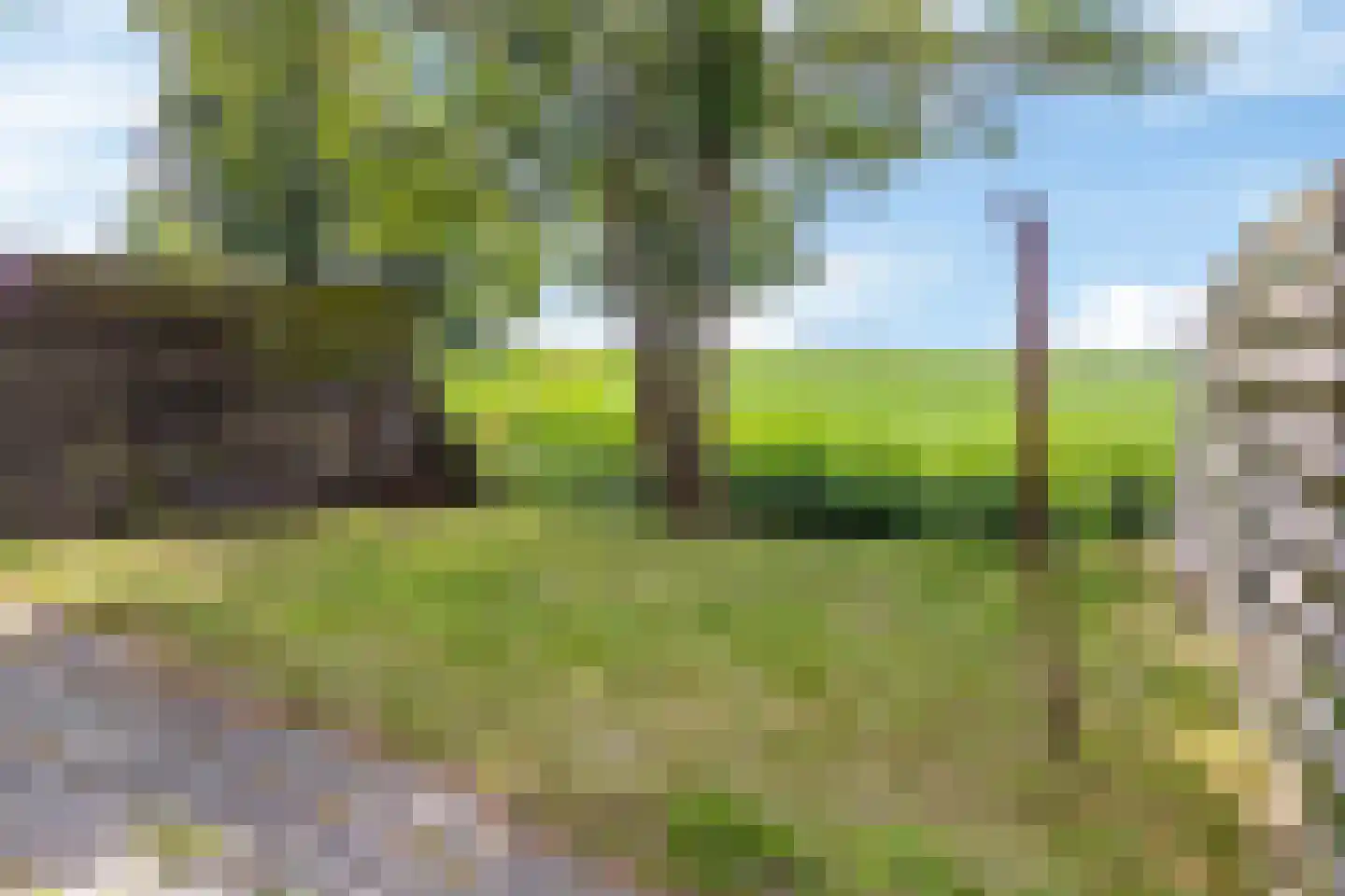 Waaxenserweg 24 Lollum thumbnail 22