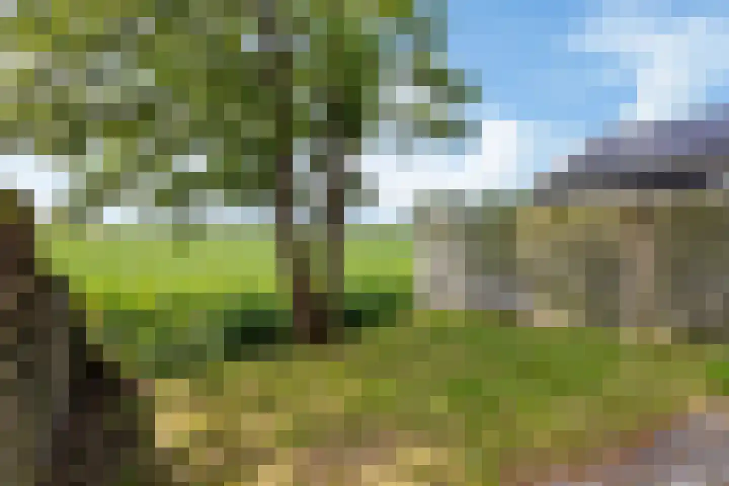 Waaxenserweg 24 Lollum thumbnail 23
