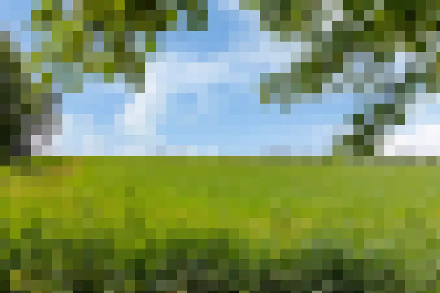Waaxenserweg 24 Lollum thumbnail 25