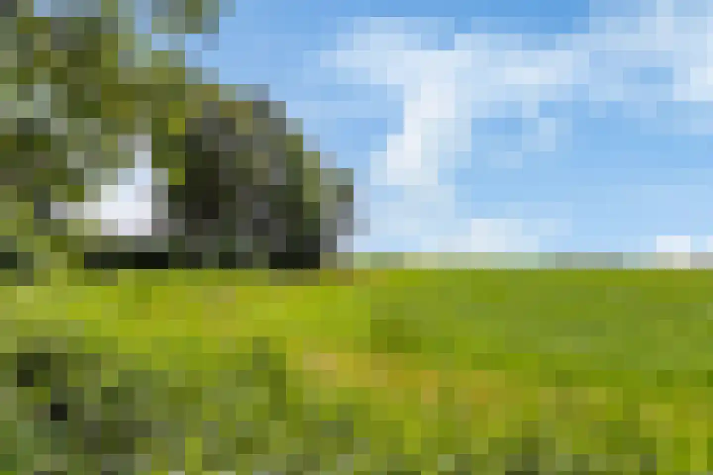 Waaxenserweg 24 Lollum thumbnail 26