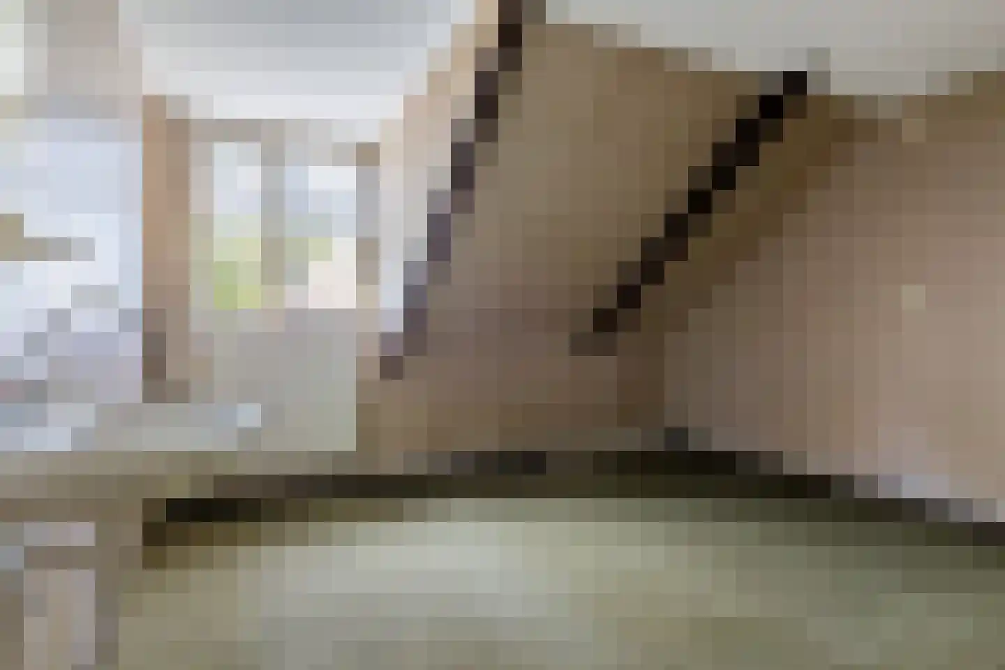 Waaxenserweg 24 Lollum thumbnail 34